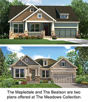The Bealson and The Mapledale plans