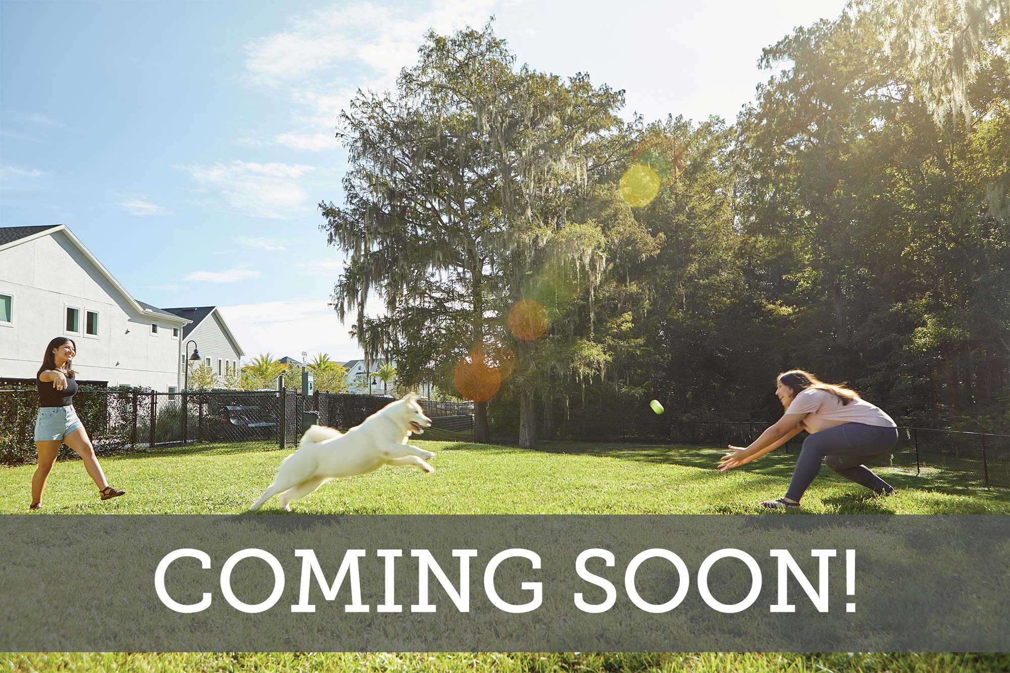 Abbey Woods - Coming Soon